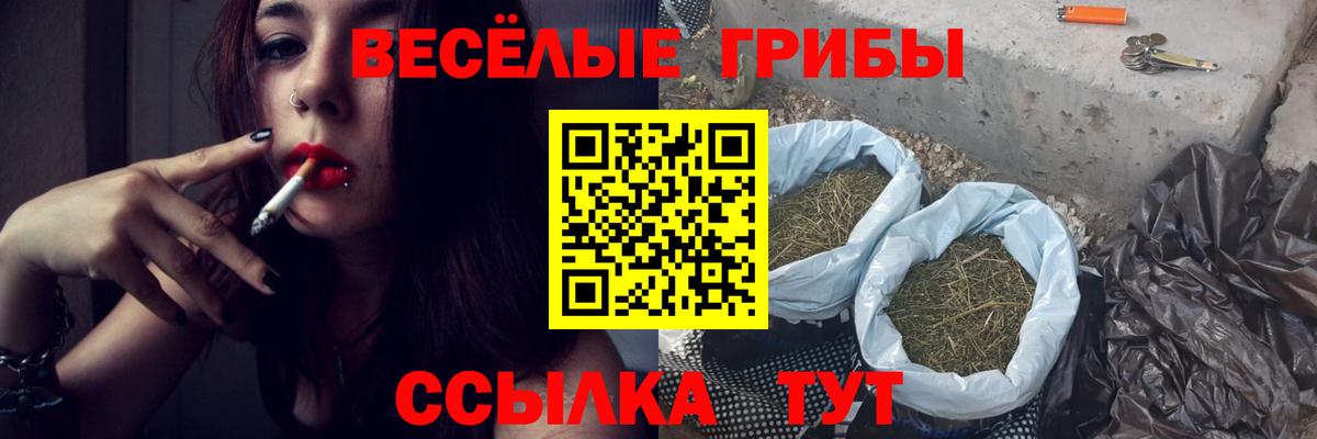 Псилоцибиновые грибы мухоморы  купить  цена  Свободный  Вход с VPN  Галлюциногенные грибы GOLDEN TEACHER 